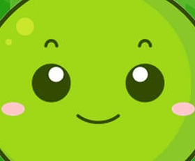 星空XK(中国)宠物用品有限公司